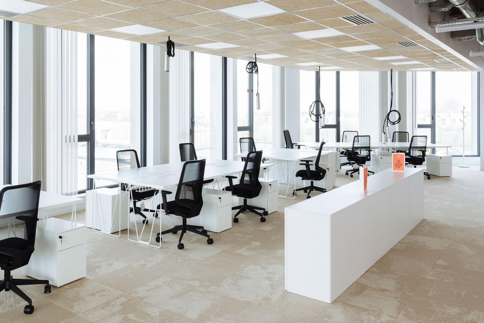 Accès Coworking (par personne) — Newton Offices Haute Borne, Villeneuve-d'Ascq