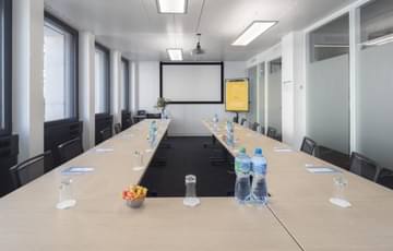 Salle Mont Blanc 12 pax — Mitwit Genève, Genève