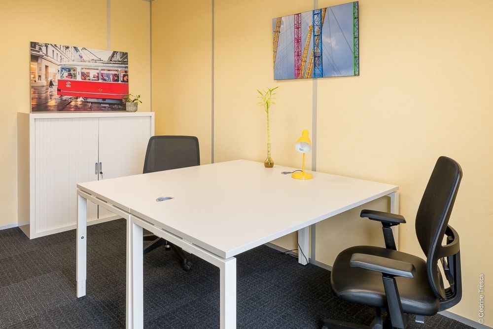 Petit bureau — Work In Centr'Alp, Grenoble