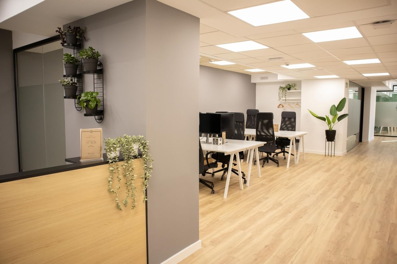 Espacio abierto Nomade — Cink Coworking Condesa de Venadito, Madrid
