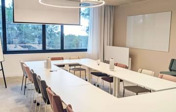 Salle de réunion Bronze — Newton Offices Sophia Antipolis, Sophia Antipolis