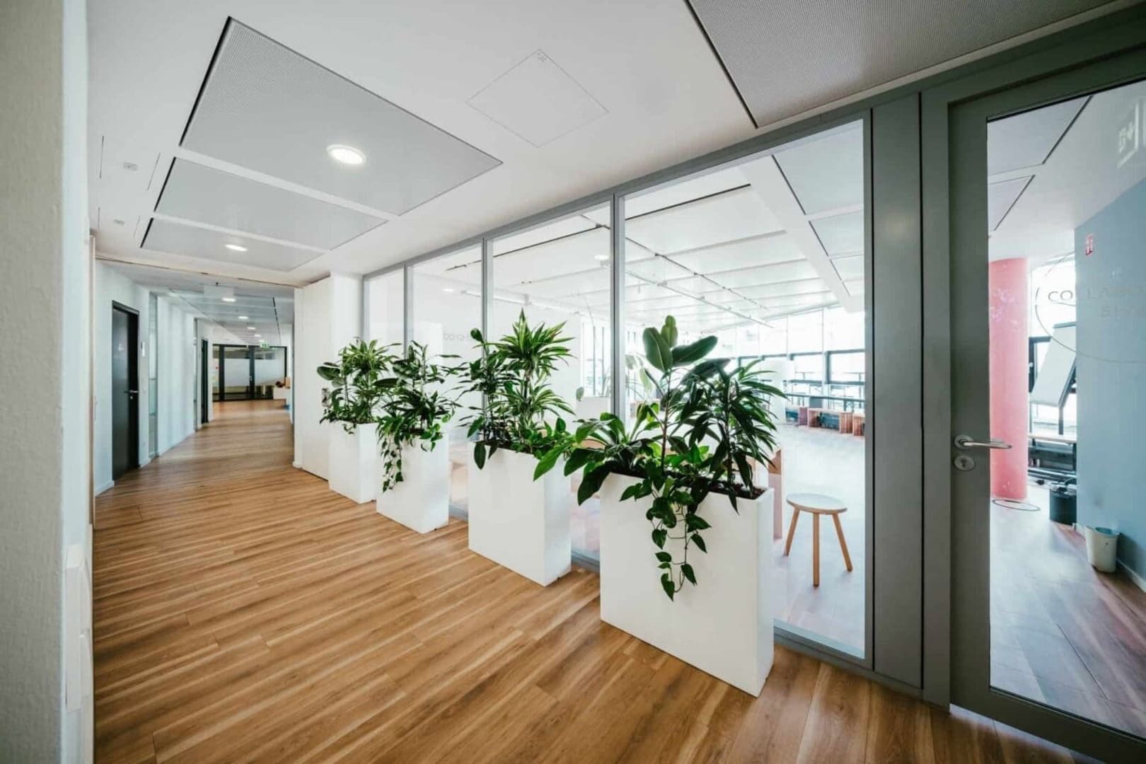 Collaboration Space — 1000 Satellites - Theresienhöhe, Munich