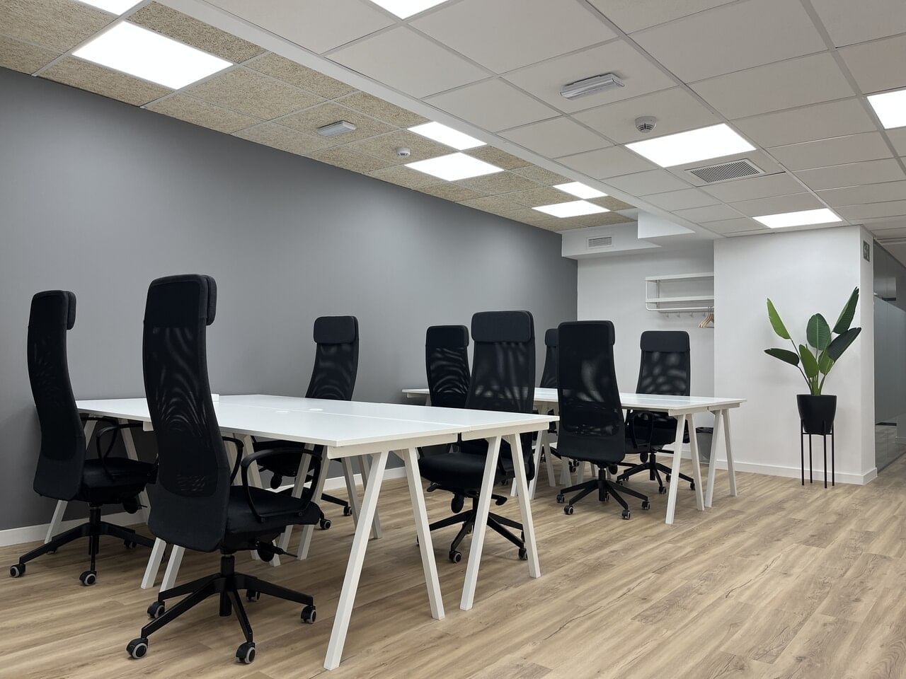 Espacio abierto Fijo  — Cink Coworking Condesa de Venadito, Madrid