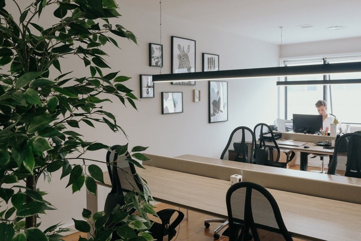 Open space Nomad — My Desk Coworking Solutions, Matosinhos