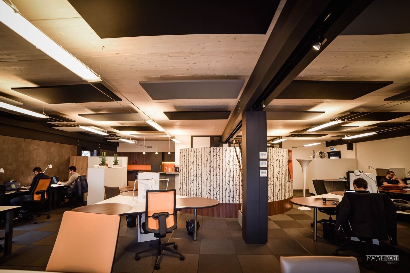 Open space Nomade — Espace 55, Archamps