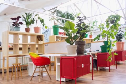Coworking day pass — Geobureau, Montrouge