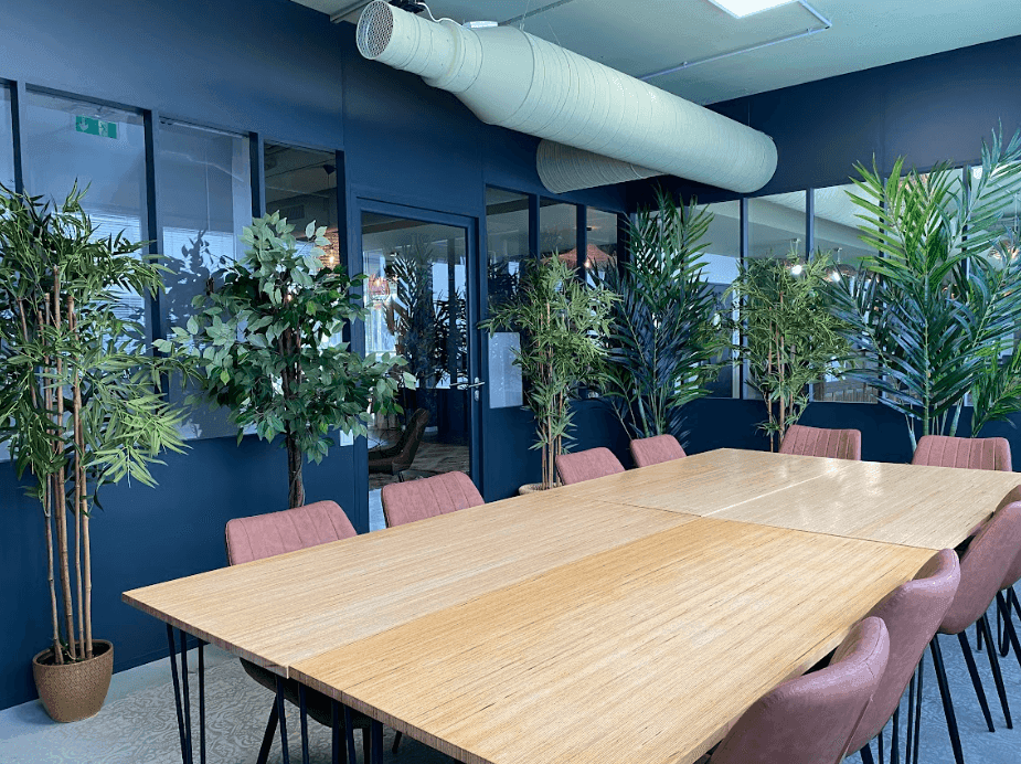 Salle de réunion 10 personnes — Bureaux & Co Bellegarde, Castelnau-le-Lez